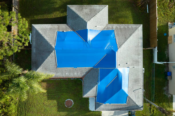 Best Roof Insulation Installation  in Carrollton, MO