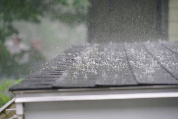 Best Roof Repair  in Carrollton, MO